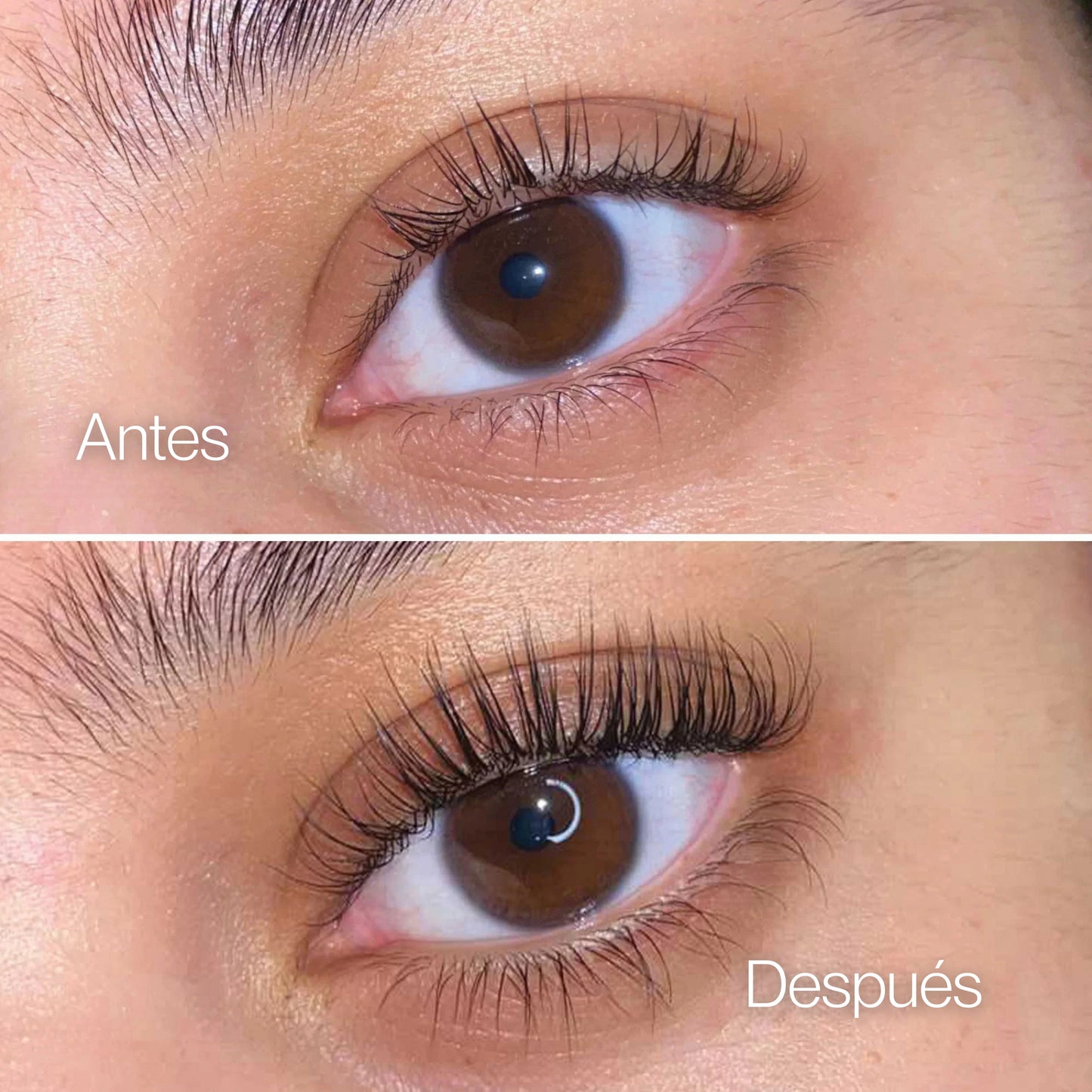 Bloomy | Sérum De Crecimiento De Pestañas KIT X2