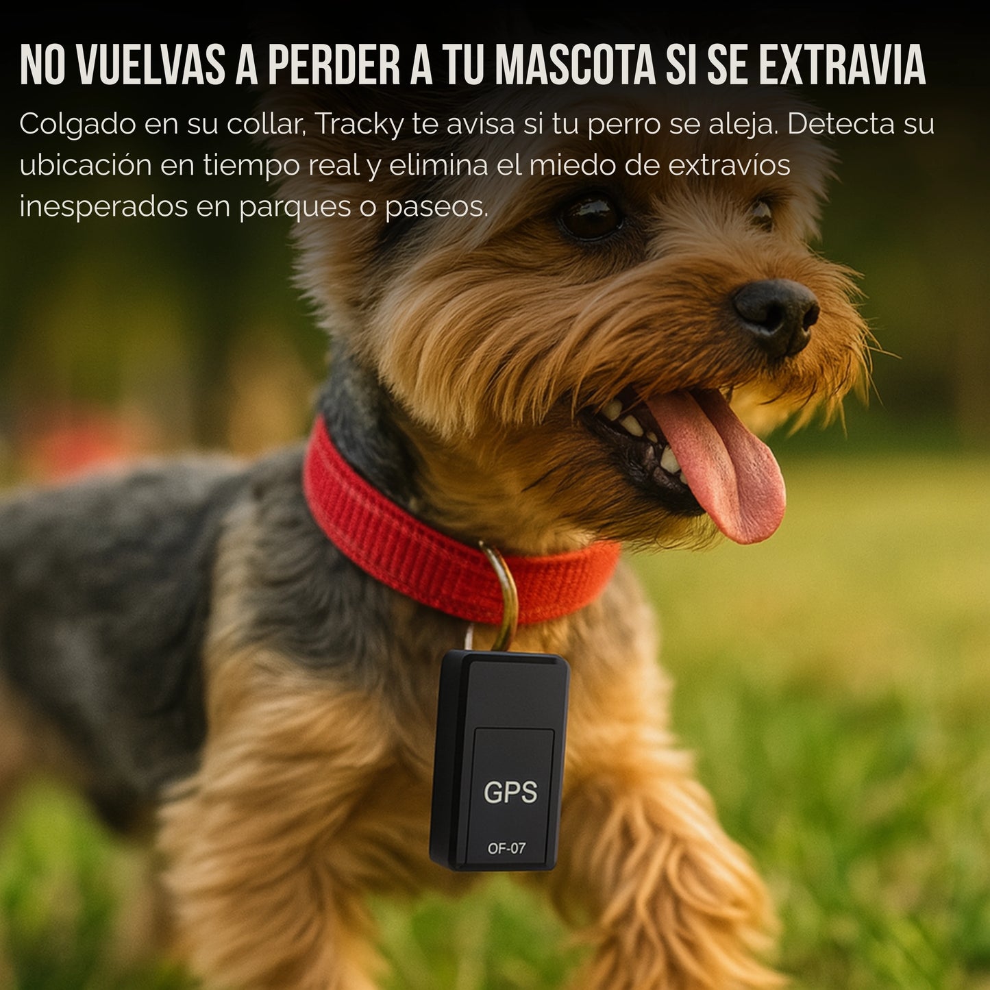 Tracky | GPS Portátil De Seguimiento GSM