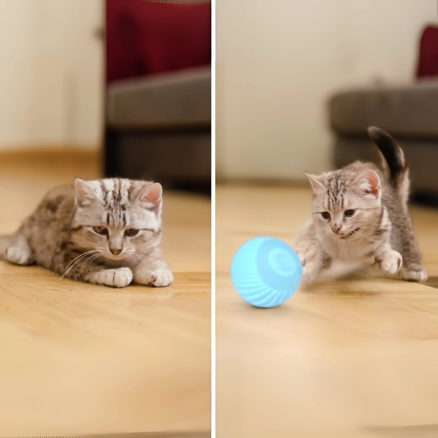 Meowy | Juguete Inteligente para Gatos