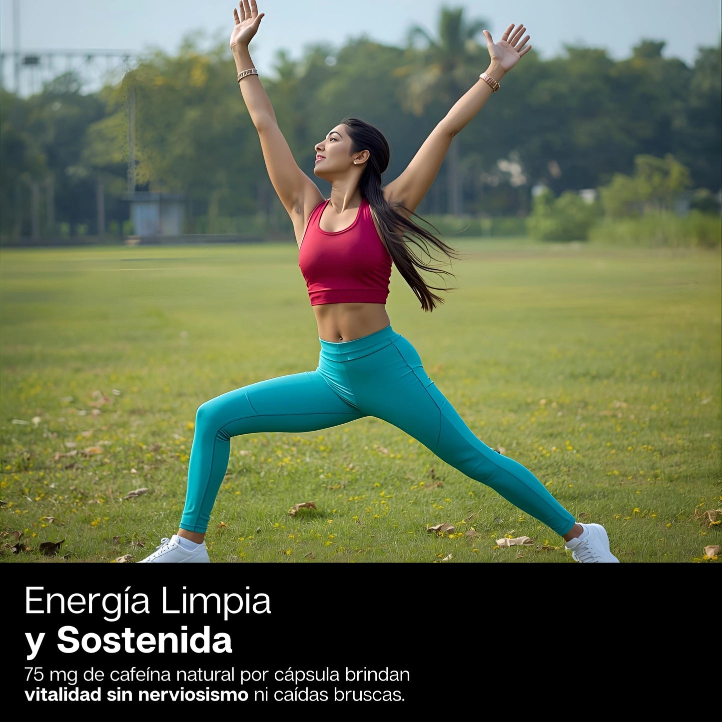 YMagic | Suplemento En Capsulas Yerba Mate