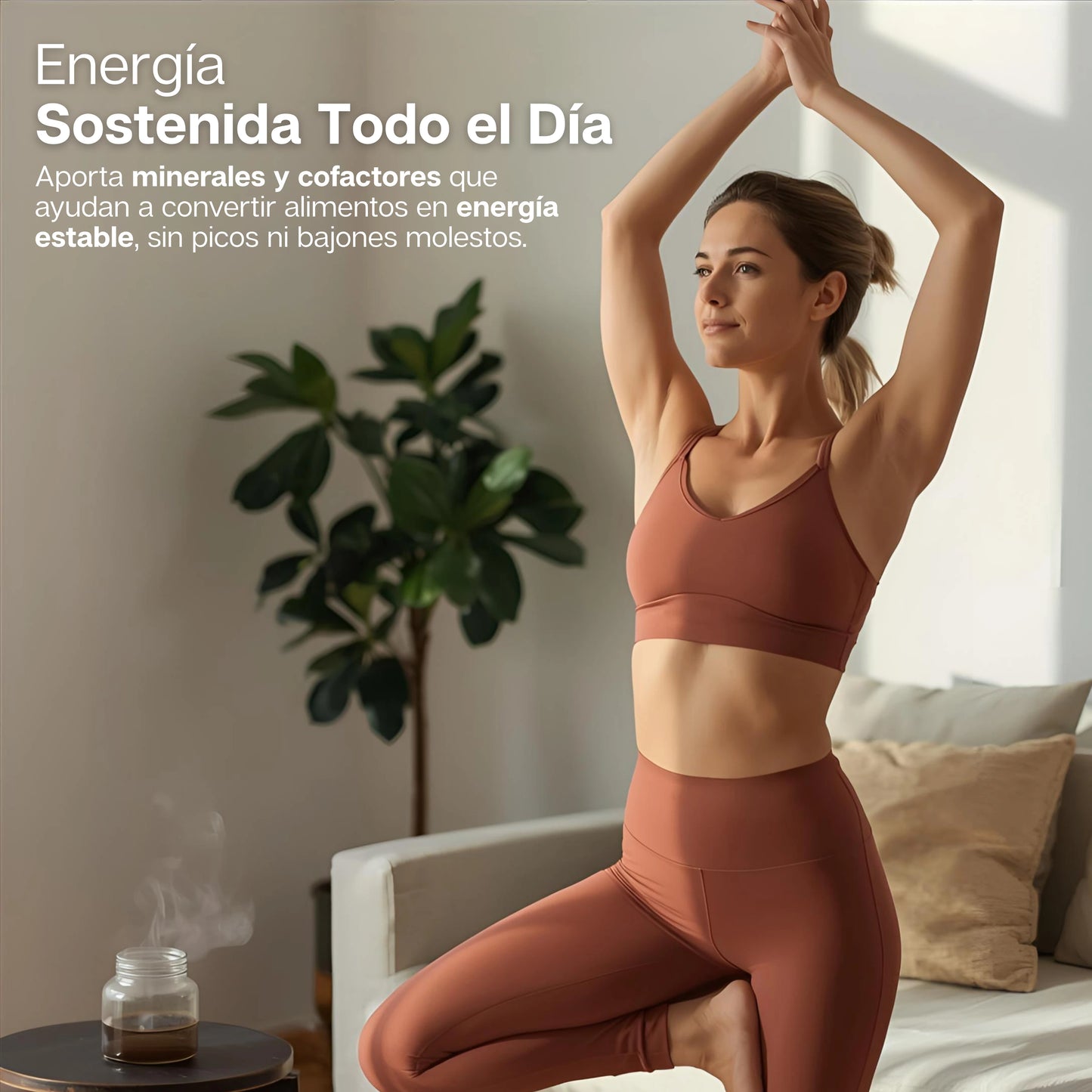 ShilaOne | Gomitas de Shilajit 100% Puro