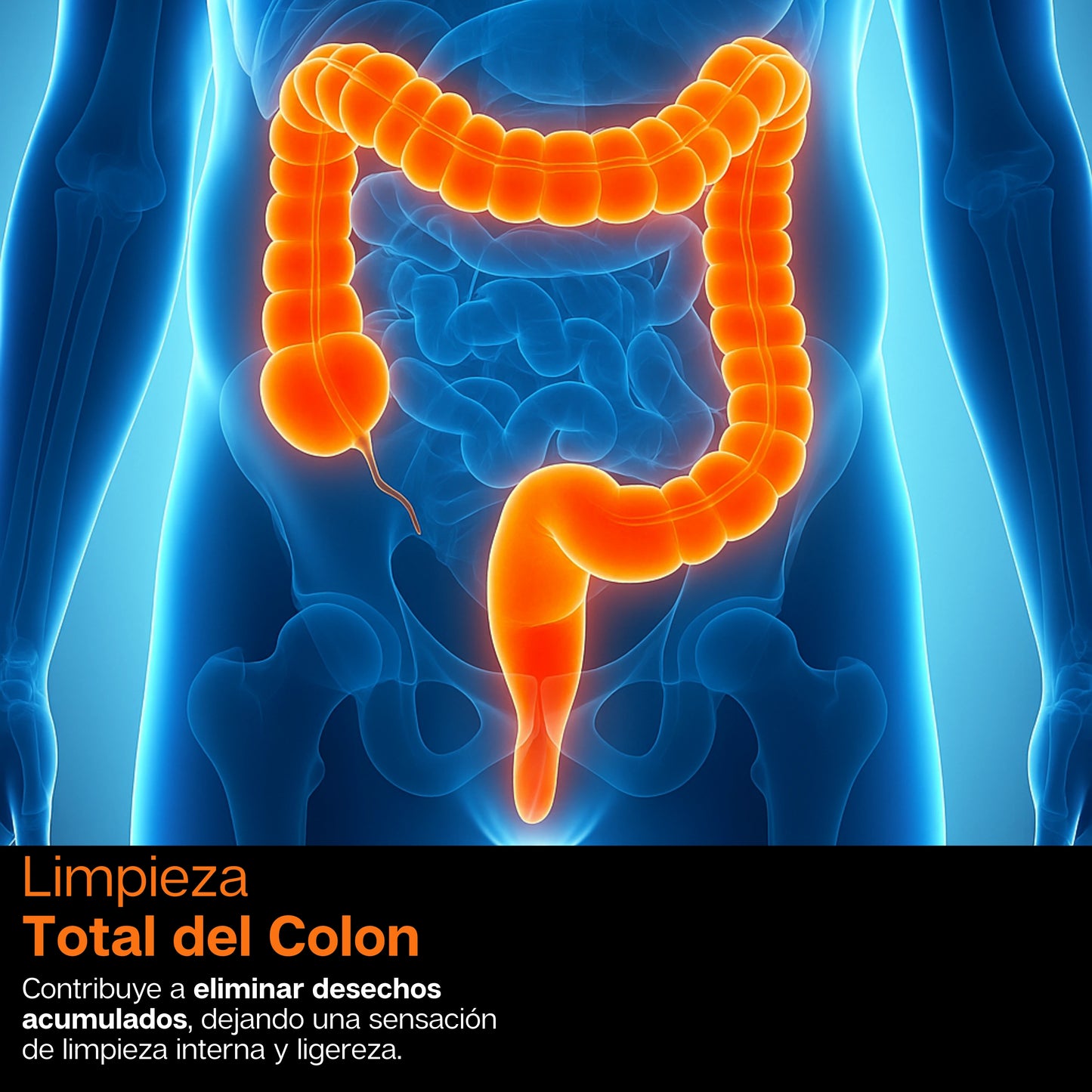 BioLimp | Limpieza Intestinal Detox Profunda De 15 Días