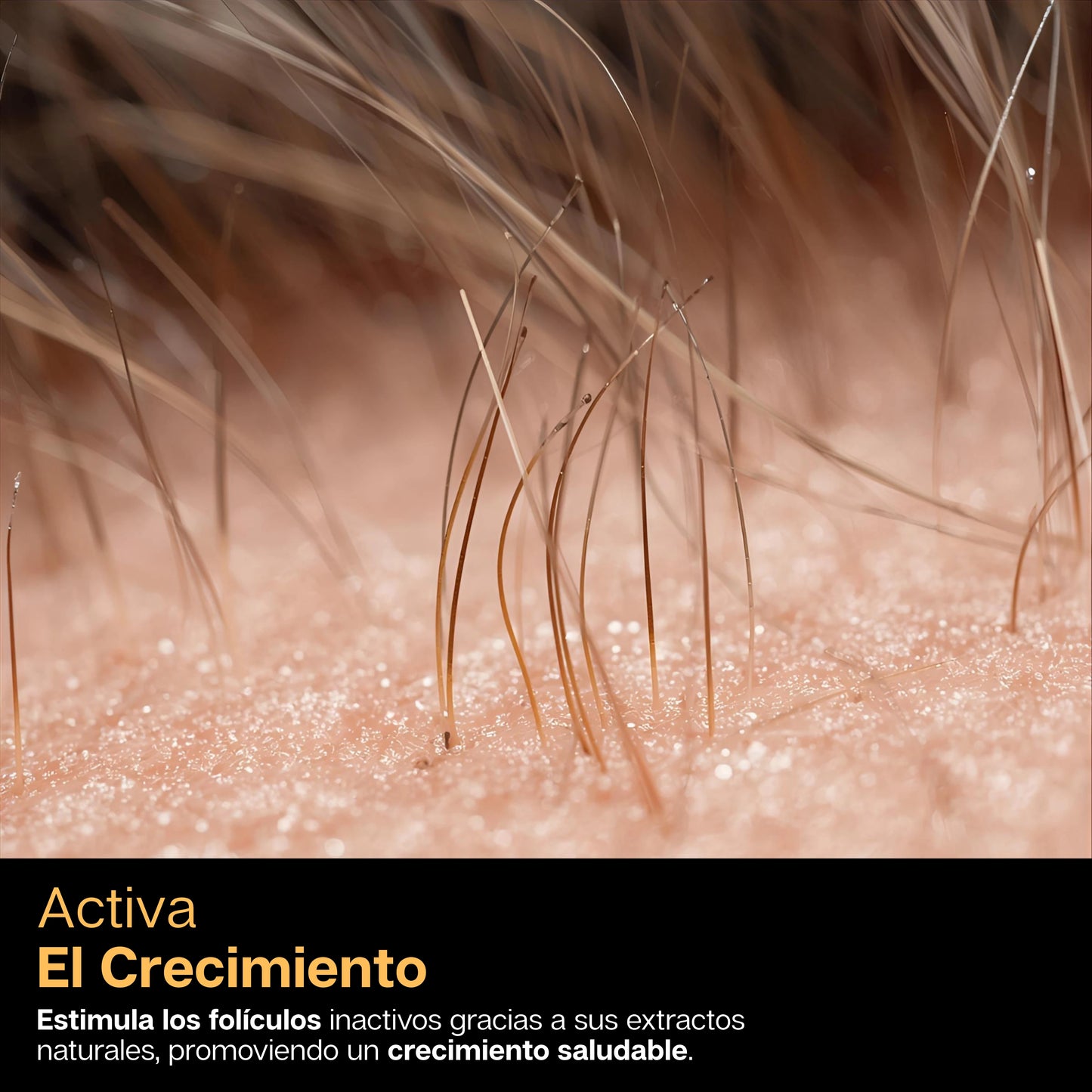 Capiluxe | Tónico Anticaída y Fortalecimiento Capilar