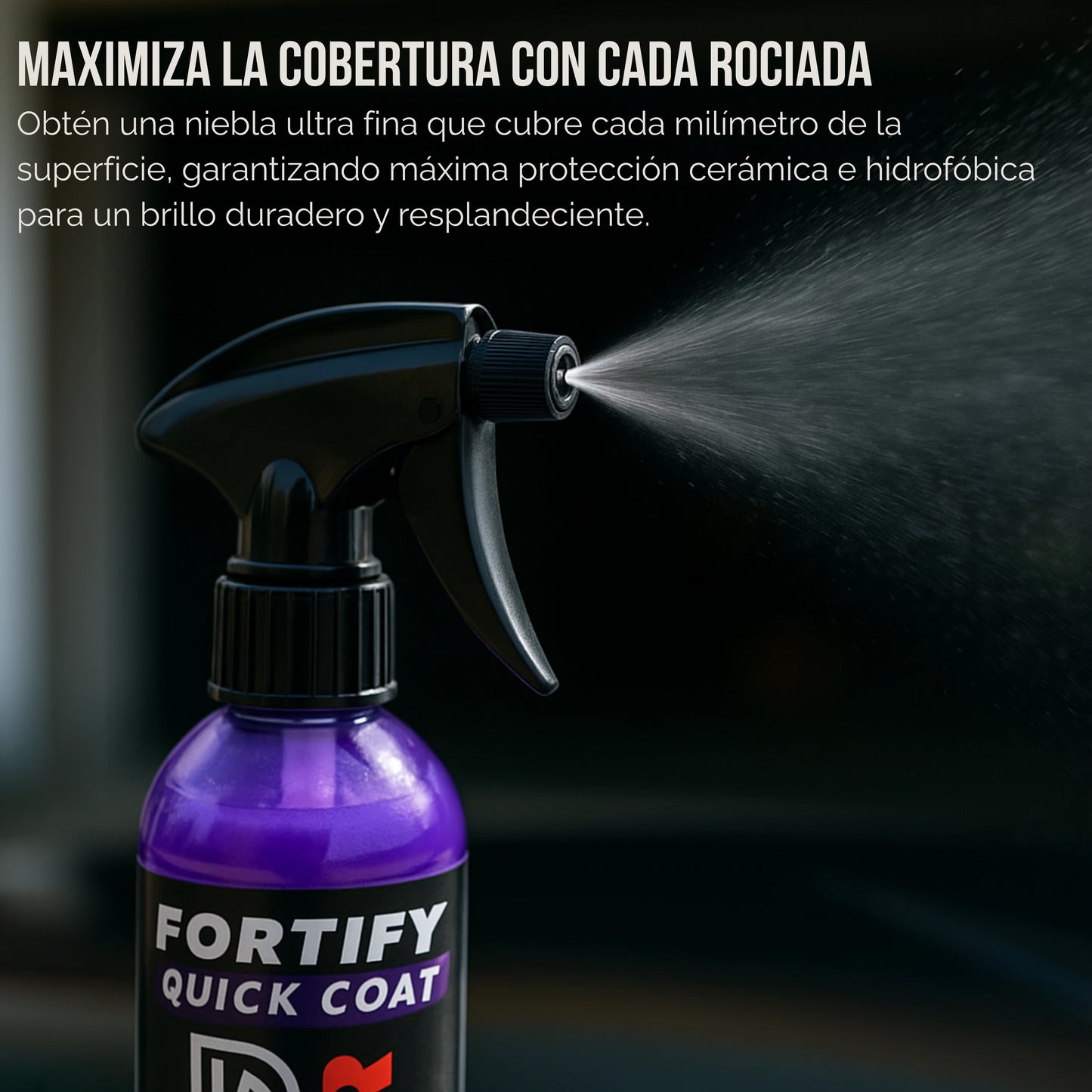 Shinzy | Escudo Cerámico 3 en 1