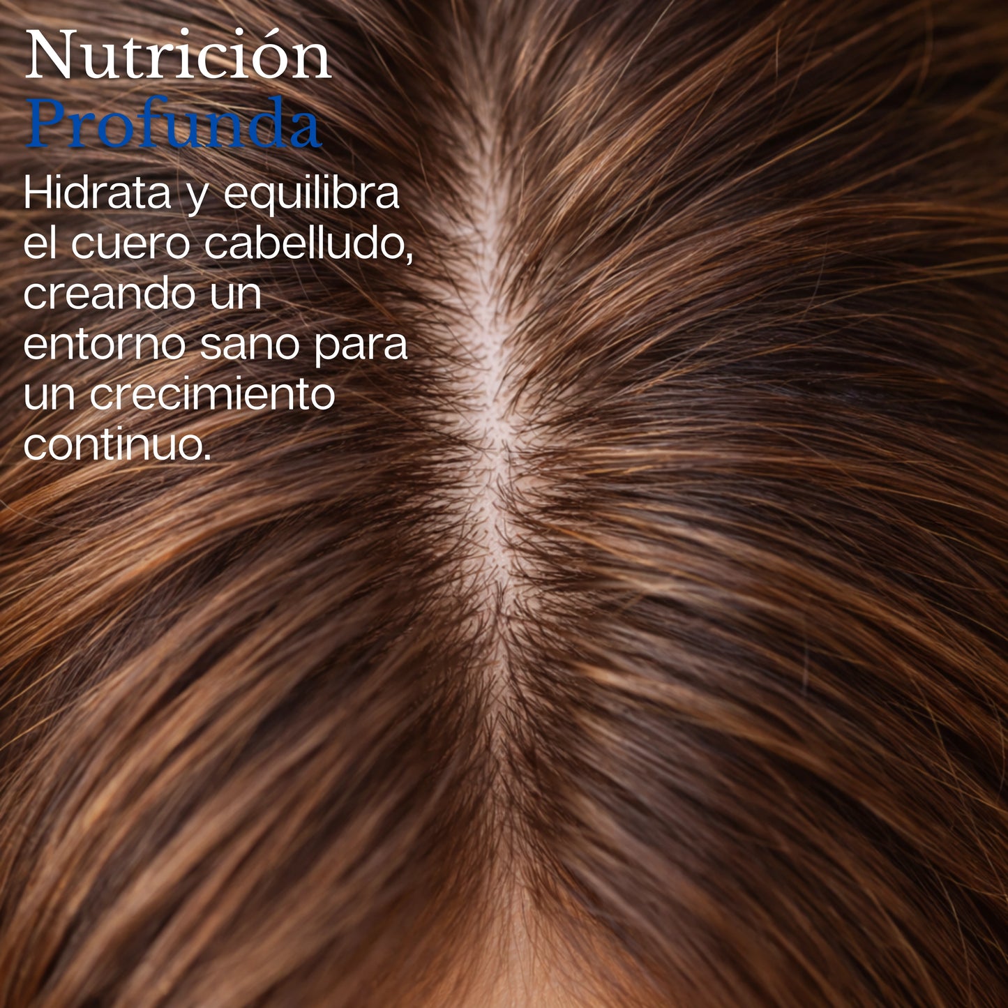 Scalvia | Aceite Esencial De Romero Para Crecimiento de Cabello
