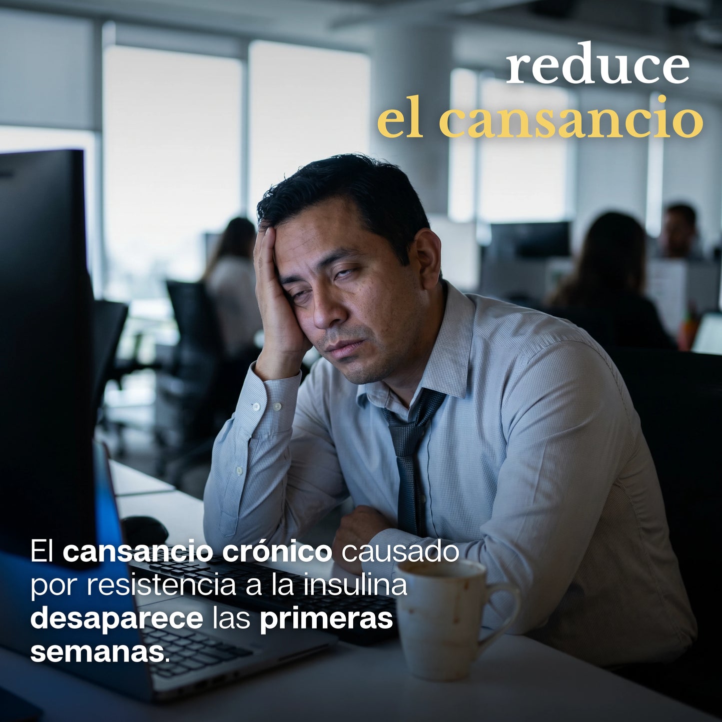 PureRoot | Berberina Pura para el Control del Azúcar, Colesterol y Peso