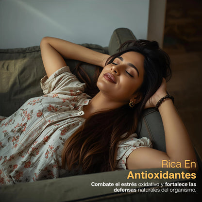 YMagic | Suplemento En Capsulas Yerba Mate