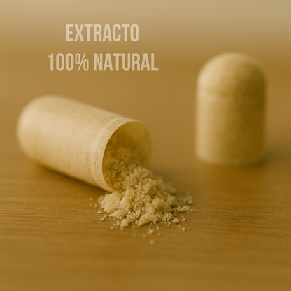 Zentara | Capsula Ashwagandha Antiestrés
