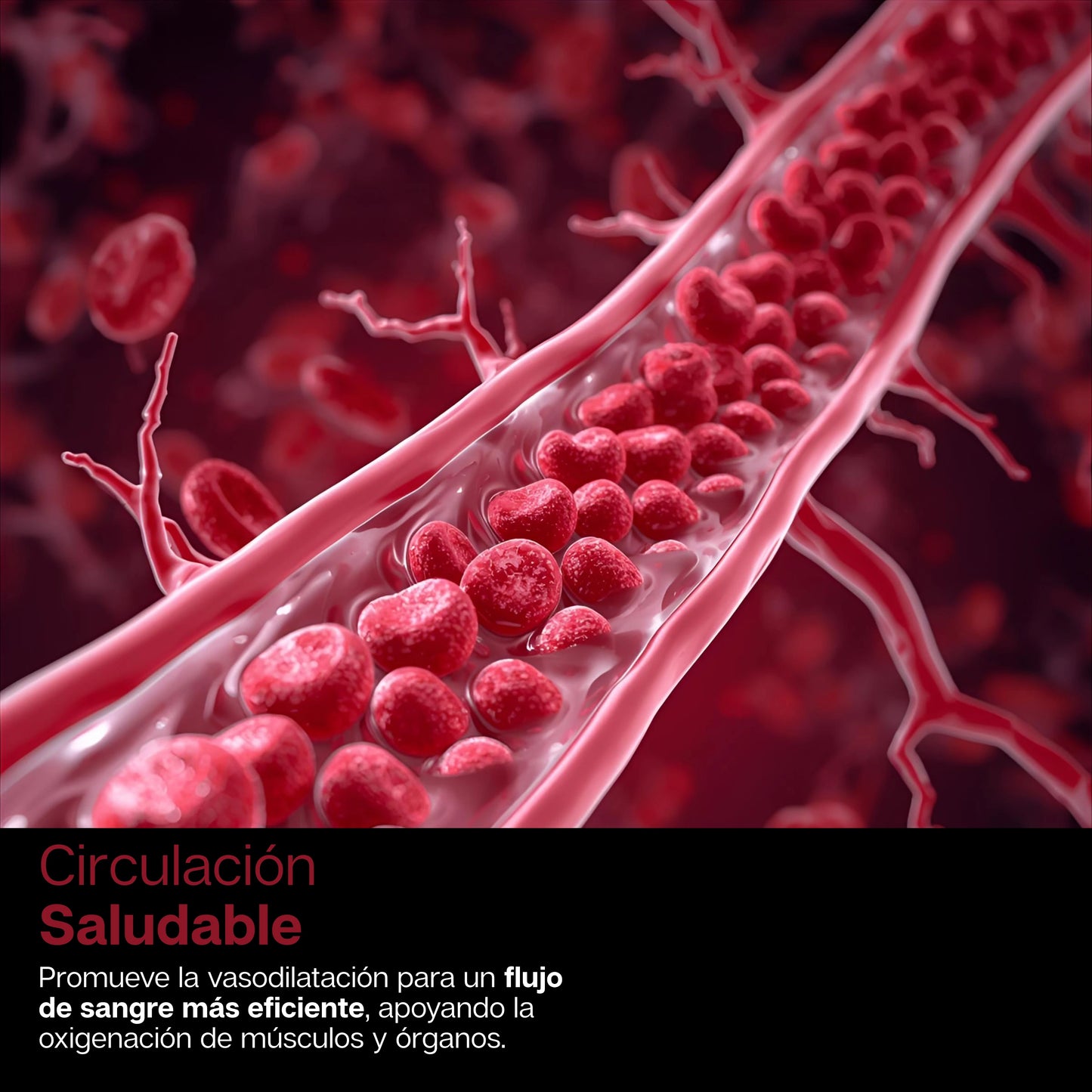 CardioFitX | Oxido Nítrico Suplemento Para Salud Cardiovascular